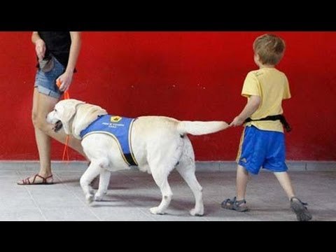 ¿Es adecuado tener un perro con un niño con autismo?