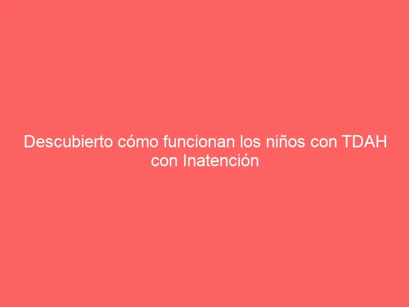 Descubierto cómo funcionan los niños con TDAH con Inatención