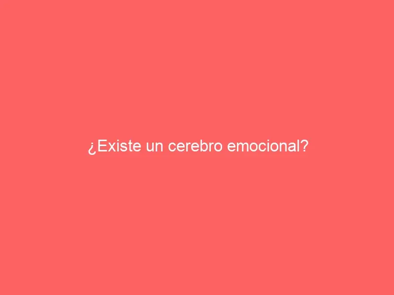 ¿Existe un cerebro emocional?