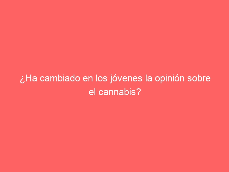 ¿Ha cambiado en los jóvenes la opinión sobre el cannabis?