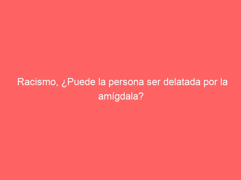 Racismo, ¿Puede la persona ser delatada por la amígdala?