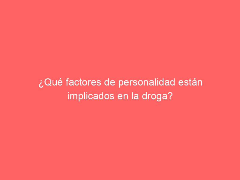 ¿Qué factores de personalidad están implicados en la droga?